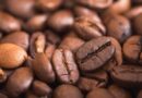 Kawa najwyższej jakości czyli kawa speciality w akcji. Dlaczego warto wybierać kawę speciality?